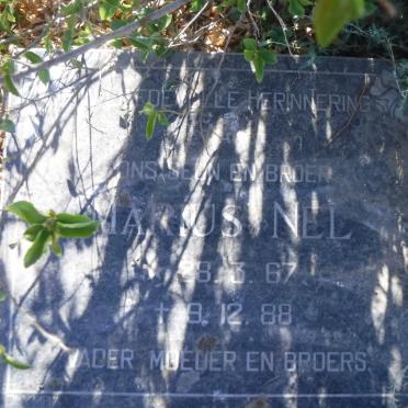 NEL Marius 1967-1988