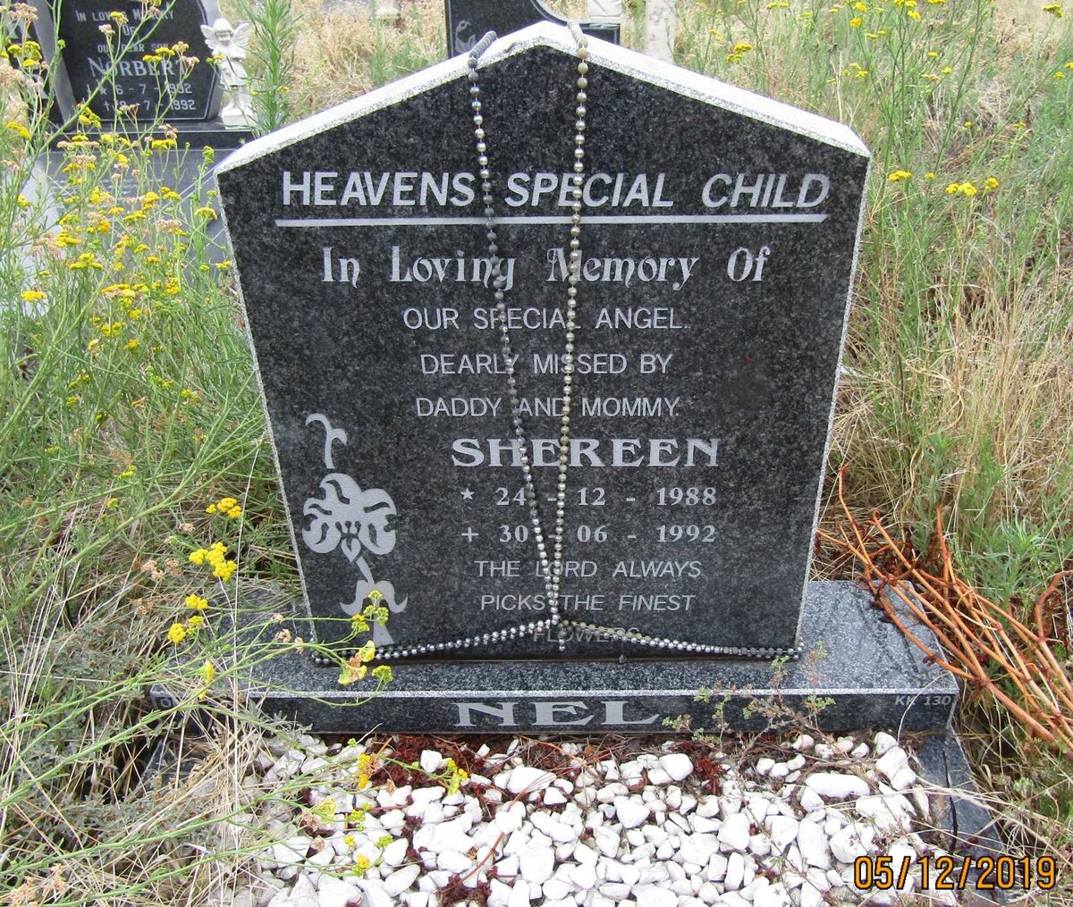 NEL Shereen 1988-1992