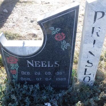 PRINSLOO Neels 1967-1989