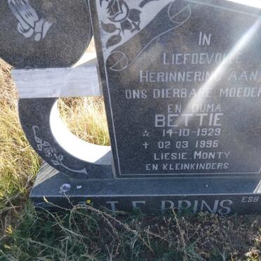 PRINS T.T.E. 1929-1995