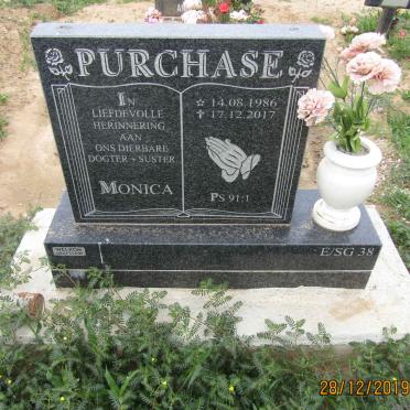 PURCHACE Monica 1986-2017