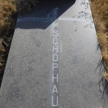 SCHOPHAUS Wim 1947-1980