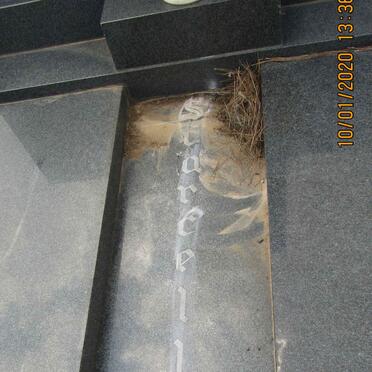 SCARCELLA Tomasso 1914-1978 &amp; Susanna M. 1925-