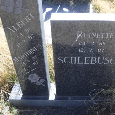 SCHLEBUSCH Reinette 1965-1987 ::  SCHLEBUSCH Albert 1986-1987 ::  SCHLEBUSCH Marthinus 1987-1987