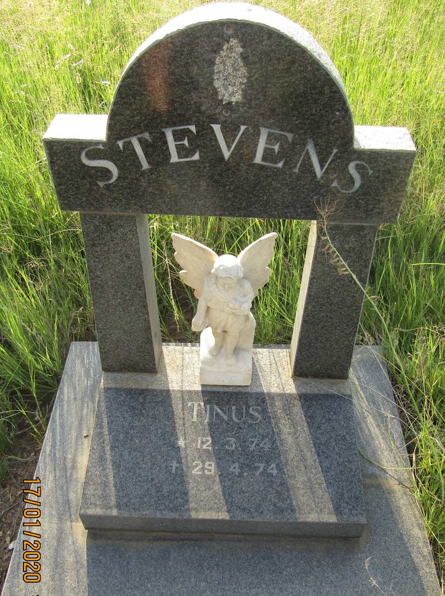 STEVENS Tinus 1974-1974