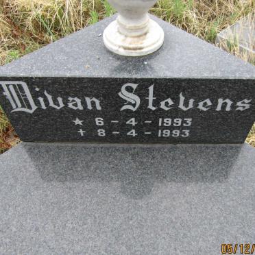 STEVENS Divan 1993-1993