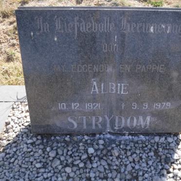 STRYDOM Albie 1921-1979