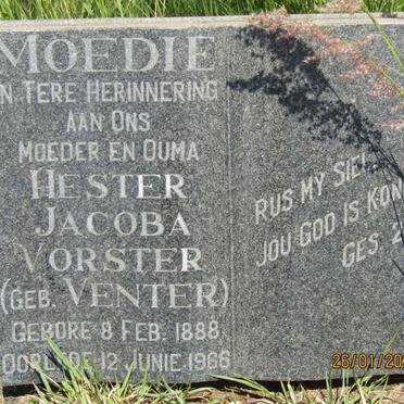 VORSTER Hester Jacobus nee VENTER 1888-1966