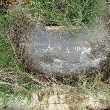 WALT Adriaan Paul, van der 1946-1976