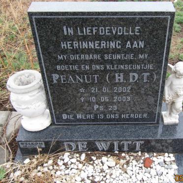 WITT H.D.T., de 2002- 2003