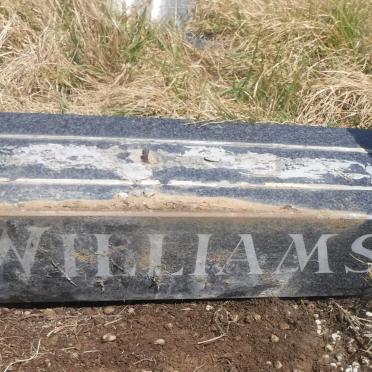 WILLIAMS Sally E. nee WILLIAMS 1939-1989 