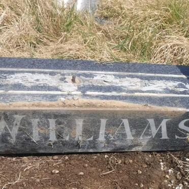 WILLIAMS Sally E. nee WILLIAMS 1939-1989 