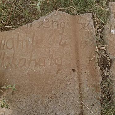 Free State, WEPENER district, Populier Station, Micah 36, farm cemetery