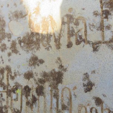 HENNING Sovia Elizabeth nee POTGIETER 1825-1888