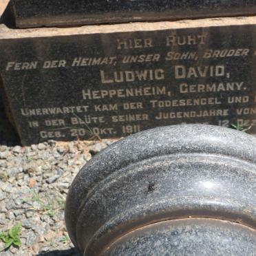 DAVID Ludwig 1911-1930