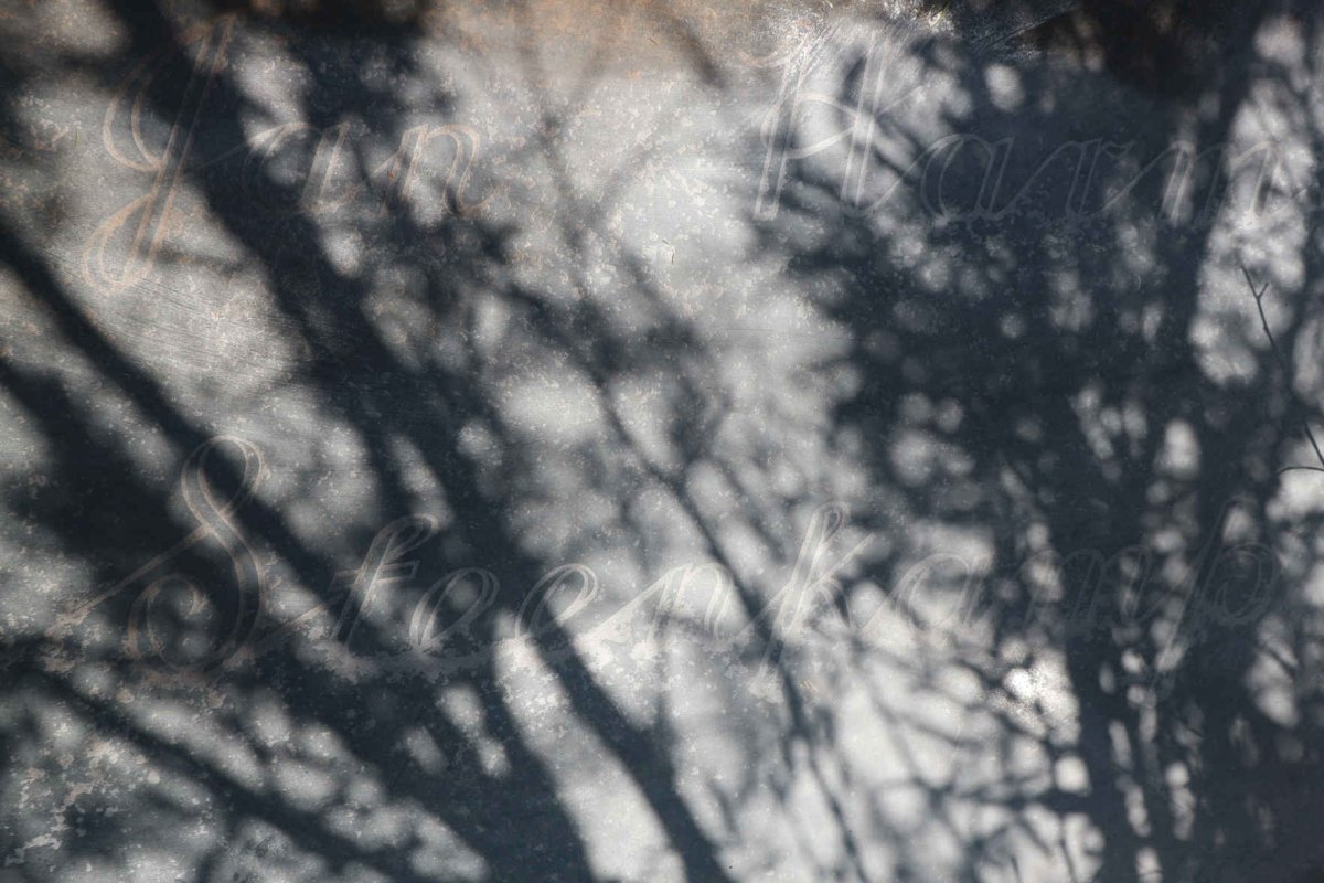 DÜRR Henricus Jacobus Storm 1883-1968 &amp; Esther Johanna LATEGAN 1894-1981