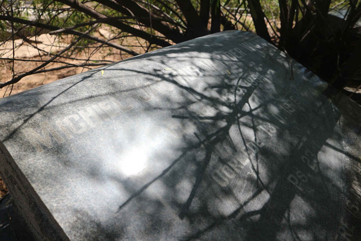 WALT Michiel Jacobus, van der 1894-1976