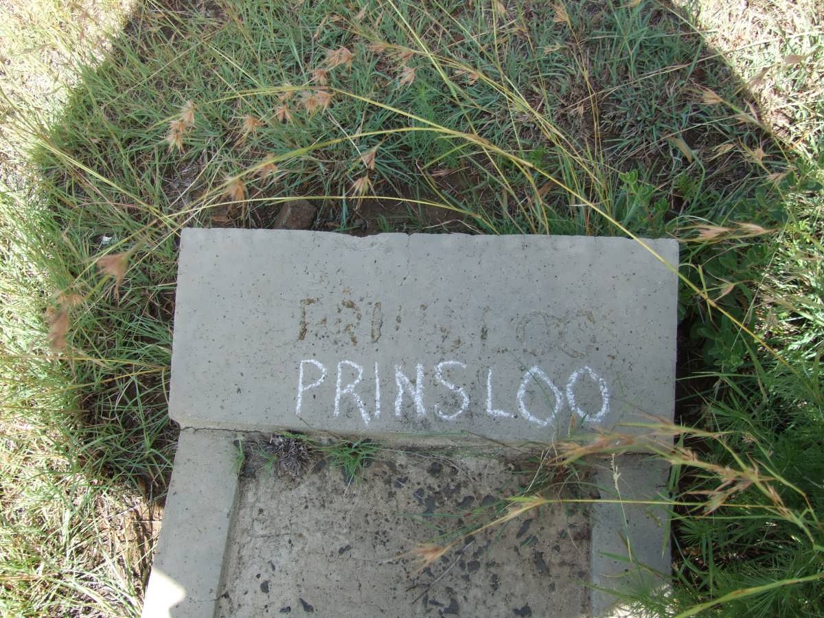 PRINSLOO