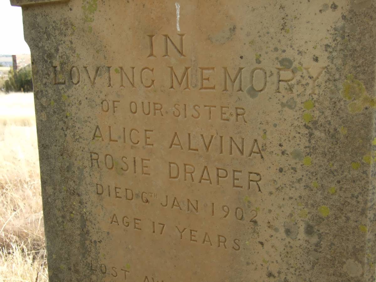 DRAPER Alice Alvina Rosie -1902