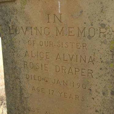 DRAPER Alice Alvina Rosie -1902
