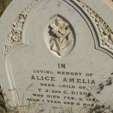 DIXON Alice Amelia -1881