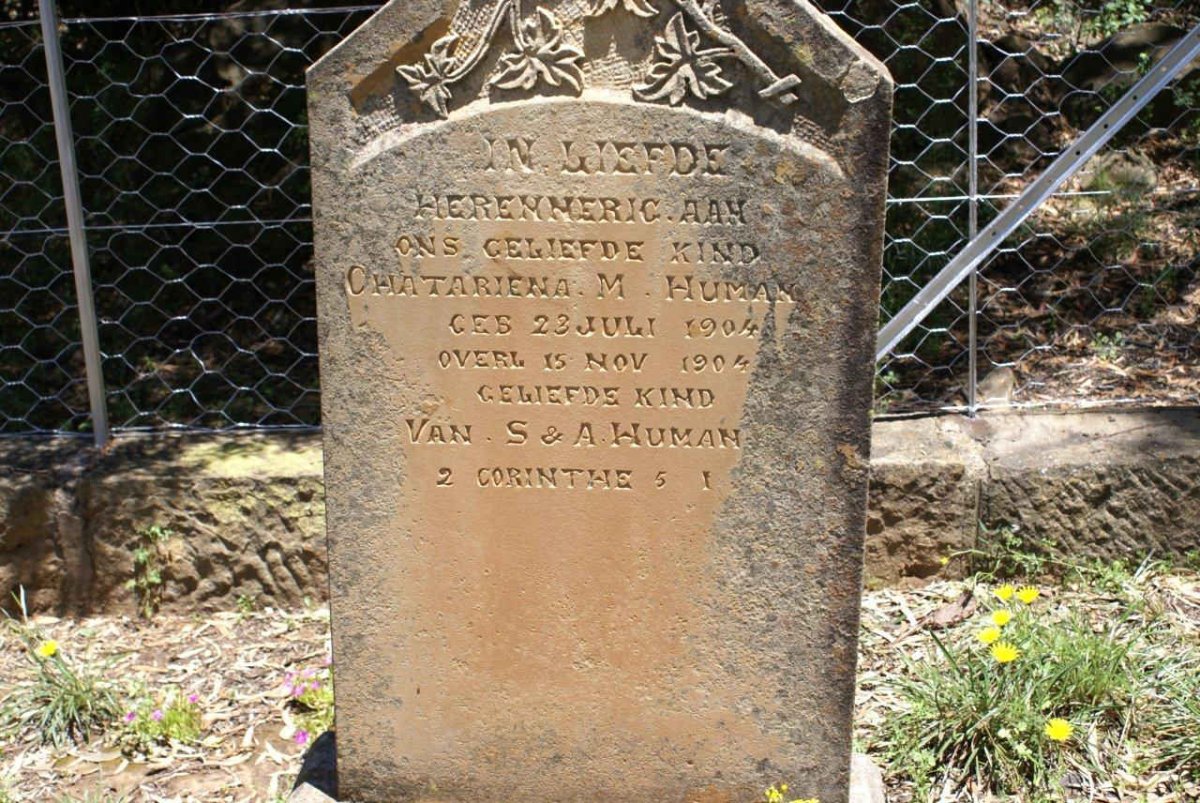 HUMAN Chatariena M. 1904-1904