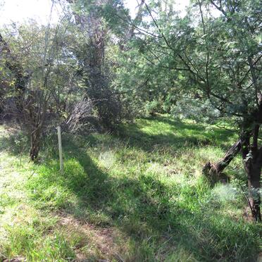 1. Overview / Oorsig