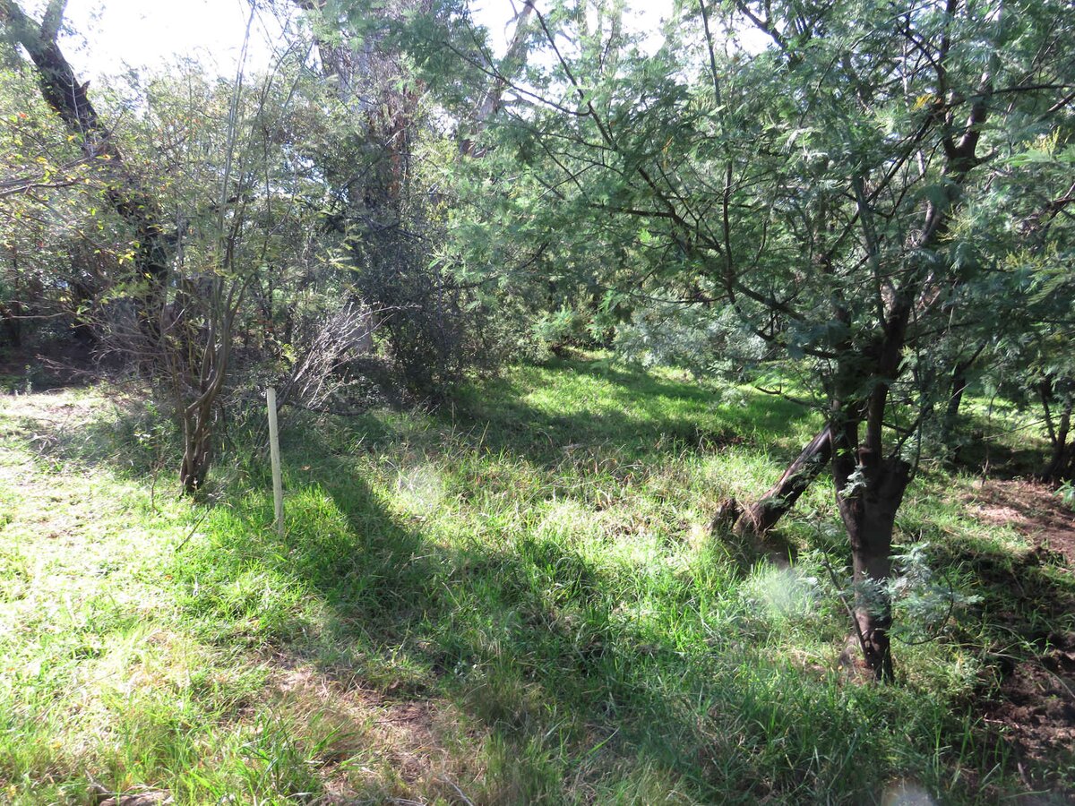 1. Overview / Oorsig