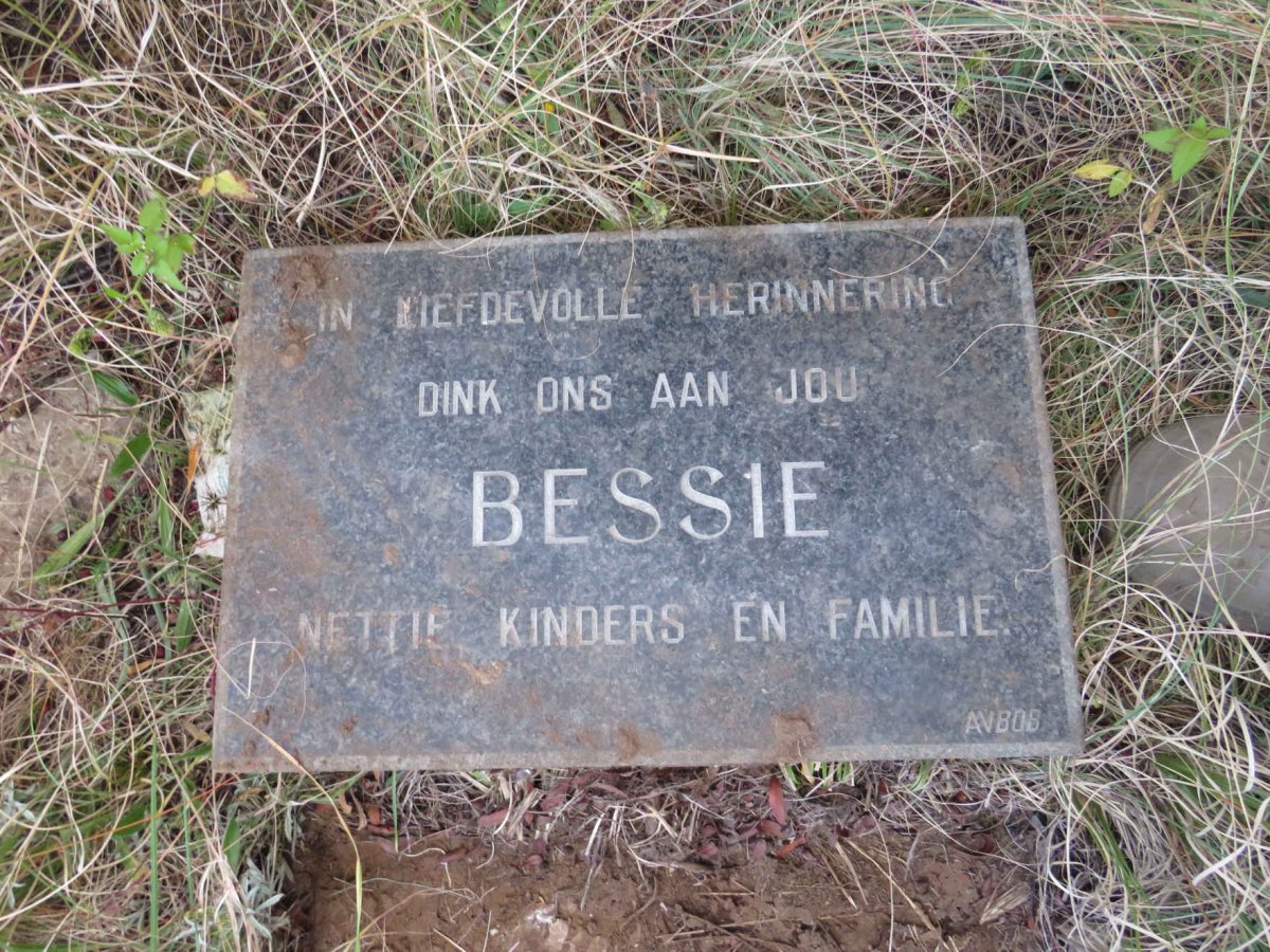 ? Bessie 