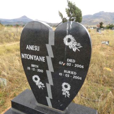 NTONYANE Anesu 2005-2006