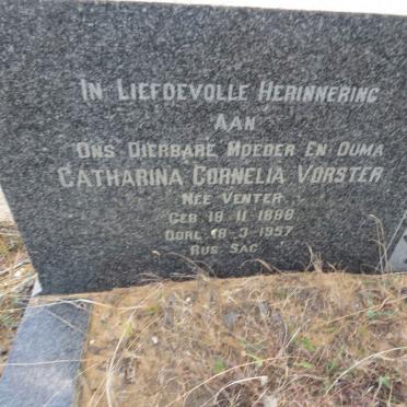 VORSTER Catharina Cornelia nee VENTER 1888-1957