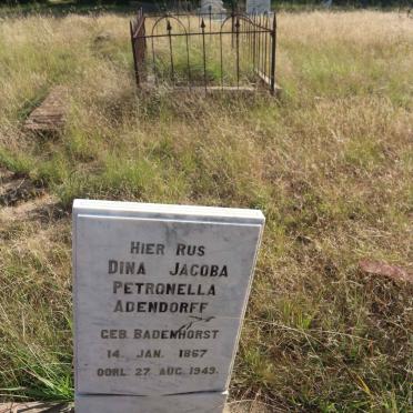 ADENDORFF Dina Jacoba Petronella nee BADENHORST 1867-1949