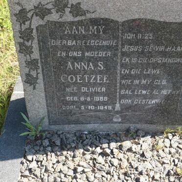 COETZEE Anna S. nee OLIVIER 1888-1949