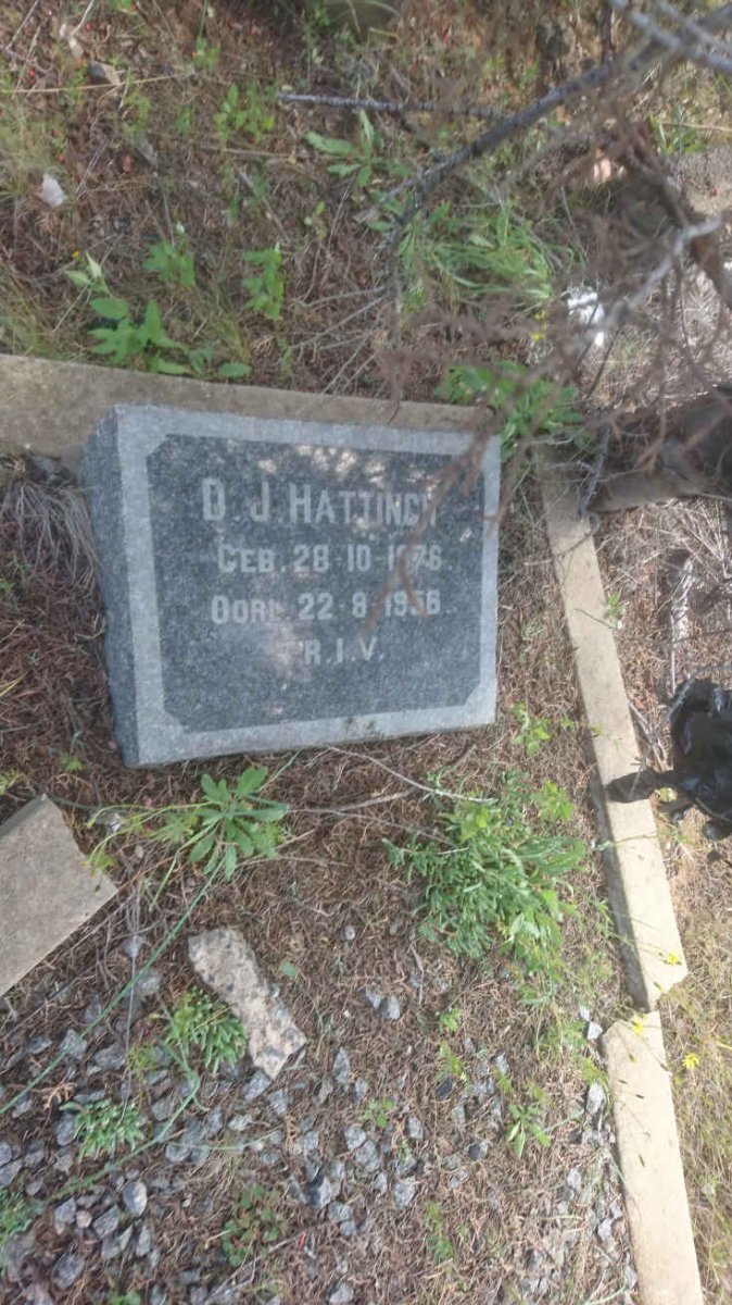 HATTINGH D.J. 1876-1956