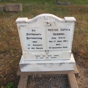 HENNING Hester Sophia nee STEYN 1882-1936