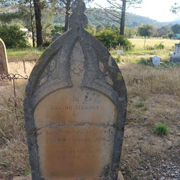 JONES Thomas Wood 1854-1925