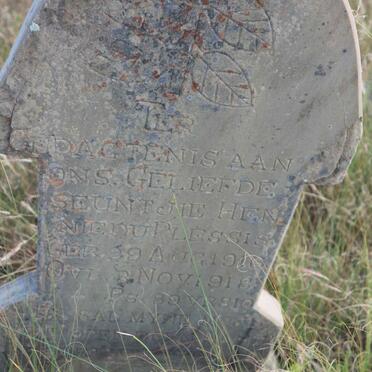 PLESSIS Hennie, du 1916-1918