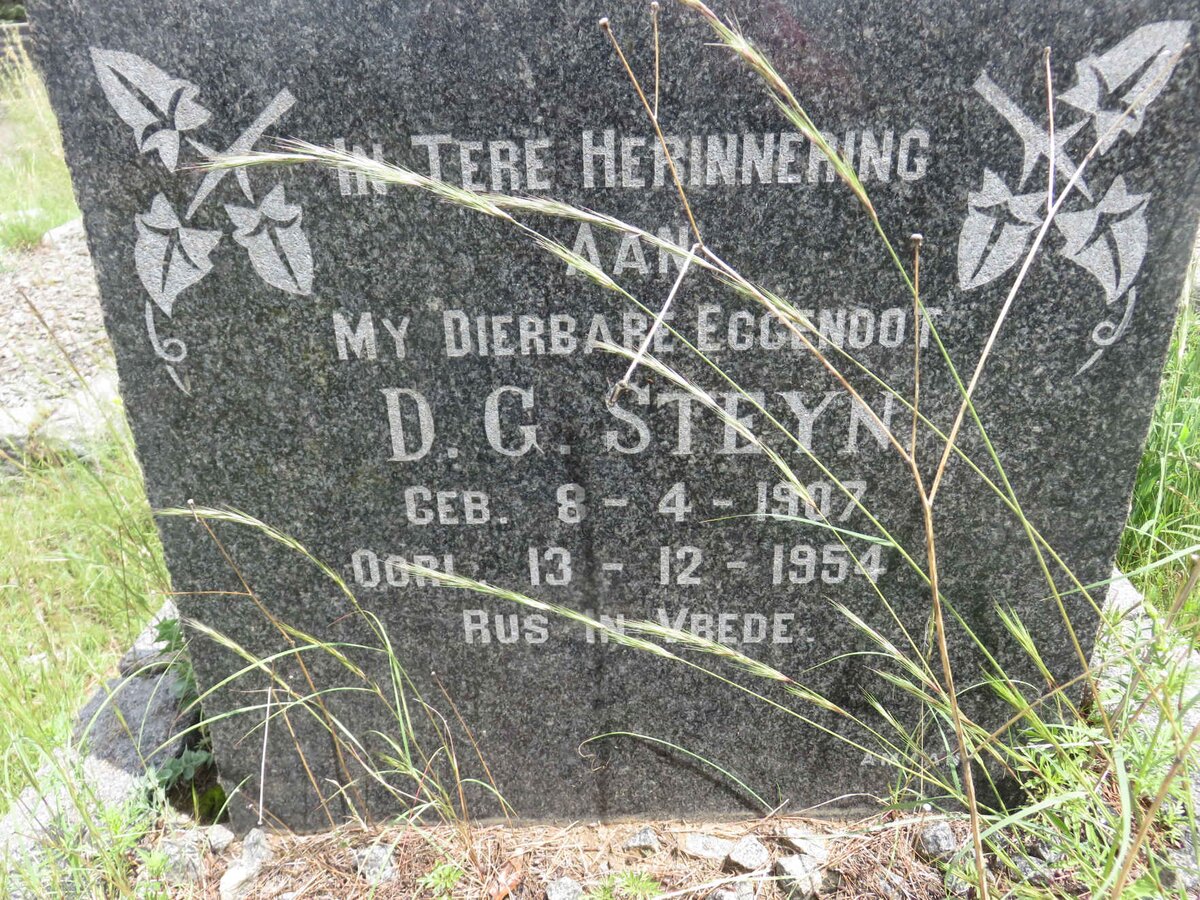STEYN D.G. 1907-1954