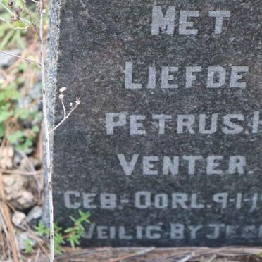 VENTER Petrus H. 1951-1951