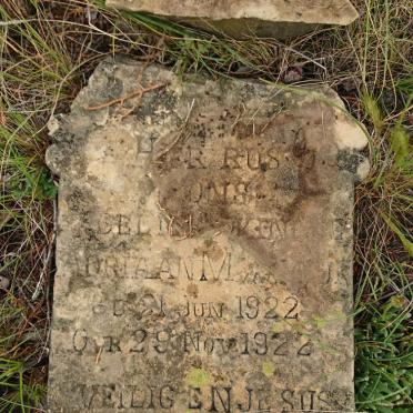 WIJK Adriaan M., van 1922-1922