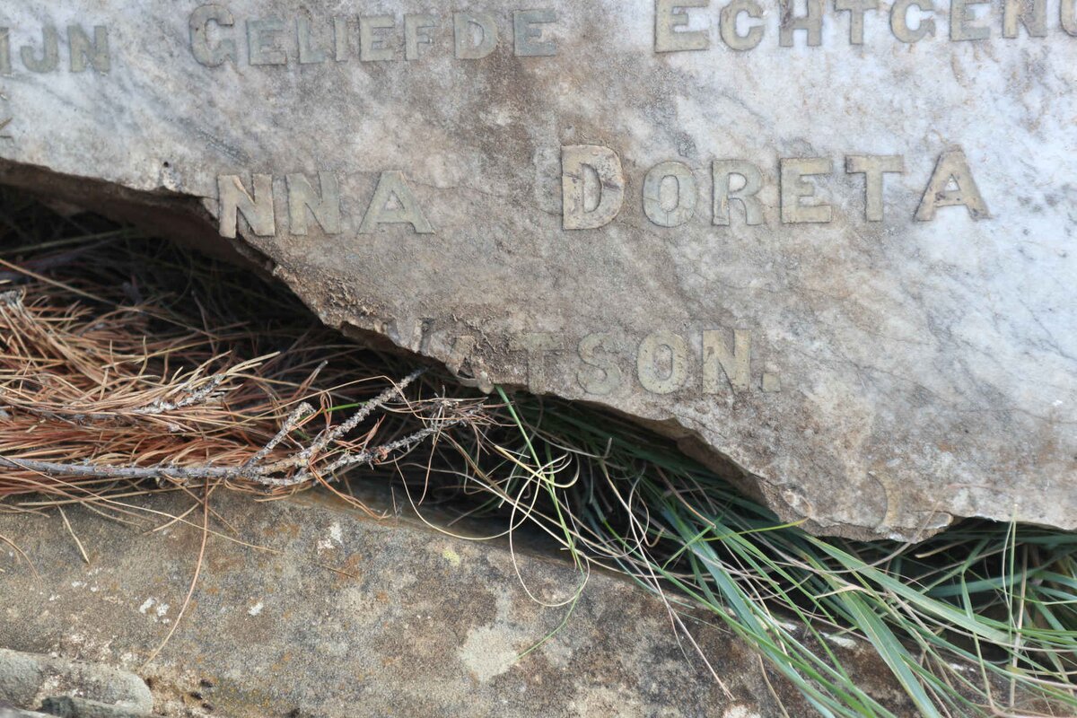 WATSON Anna Doreta nee BOUWER 1870-1919