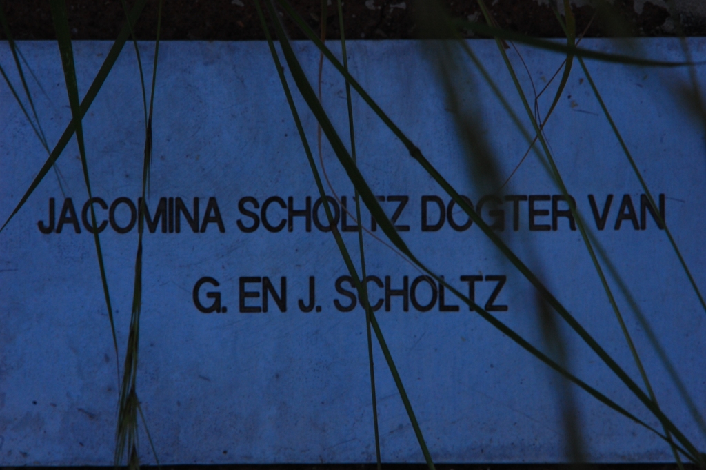 SCHOLTZ Jacomina