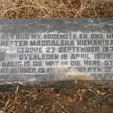 NIEMAN Hester Magdalena nee BARNARD 1877-1938