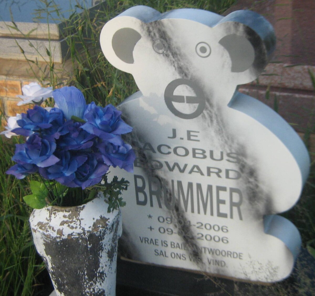 BRUMMER Jacobus Edward 2006-2006