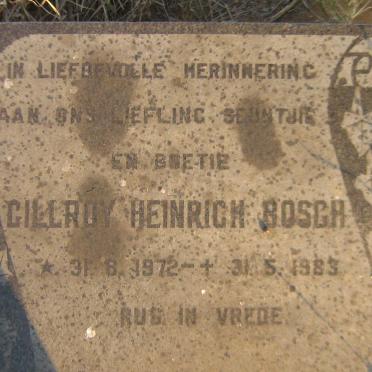 BOSCH Gillroy Heinrich 1972-1983