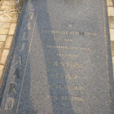 GALJAARD J.A. 1975-2004