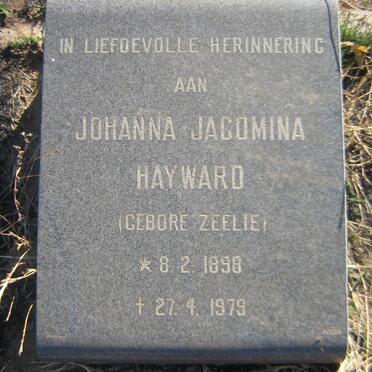 HAYWARD Johanna Jacomina nee ZEELIE 1898-1979