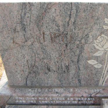 WET Esthea, de 1978-1995