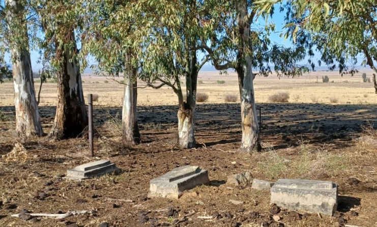 1. Overview / Oorsig 