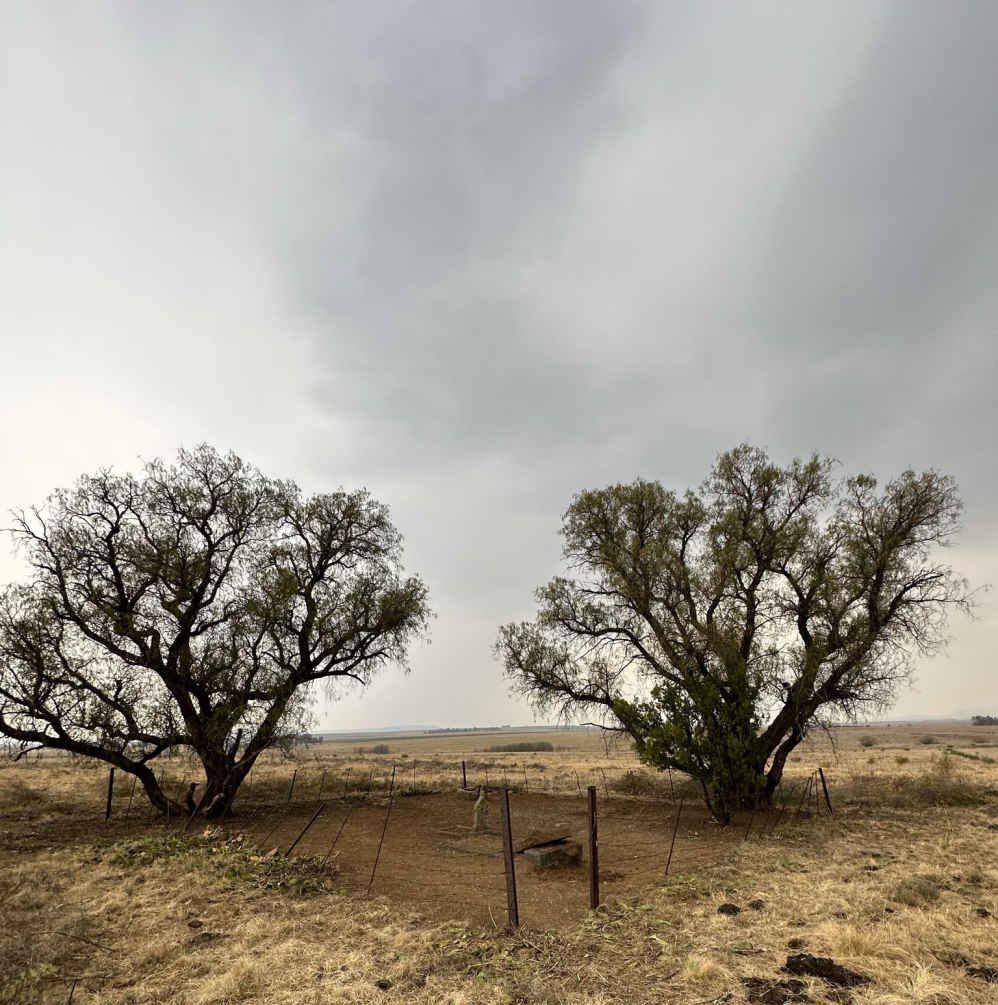 1. Overview / Oorsig 